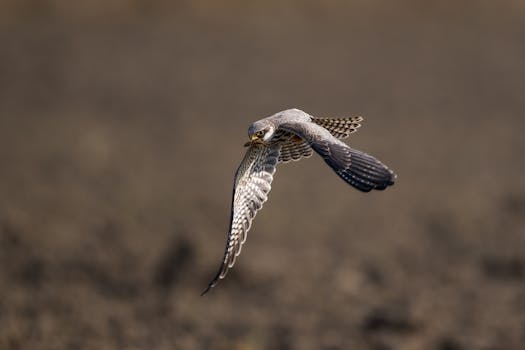  金融高管腐败案宣判；贵州银行原行长许安获死缓。 股票财经 金融高管腐败案宣判；贵州银行原行长许安获死缓。 股票财经 金融高管腐败案宣判；贵州银行原行长许安获死缓。 股票财经 金融高管腐败案宣判；贵州银行原行长许安获死缓。 股票财经