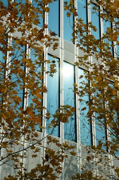  从亏损到盈利，金蝶2025年交出亮眼答卷；AI战略加速落地。 IT技术 从亏损到盈利，金蝶2025年交出亮眼答卷；AI战略加速落地。 IT技术