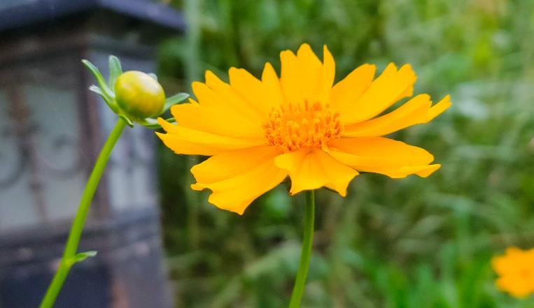  你还在叫孩子“宝宝”吗？一位妈妈的觉醒：换个称呼，孩子就不一样了 情感心理