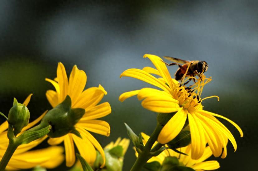  你还在叫孩子“宝宝”吗？一位妈妈的觉醒：换个称呼，孩子就不一样了 情感心理