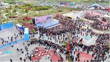 农文旅融合的技术拆解：一个八百年庙会的流量转化模型