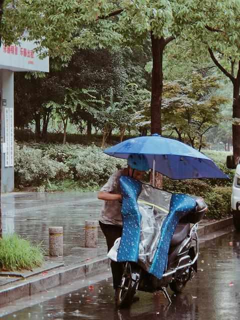  2026年谷雨交节时间深度解析：三大天文特征与农事影响预测 文化旅游 2026年谷雨交节时间深度解析：三大天文特征与农事影响预测 文化旅游