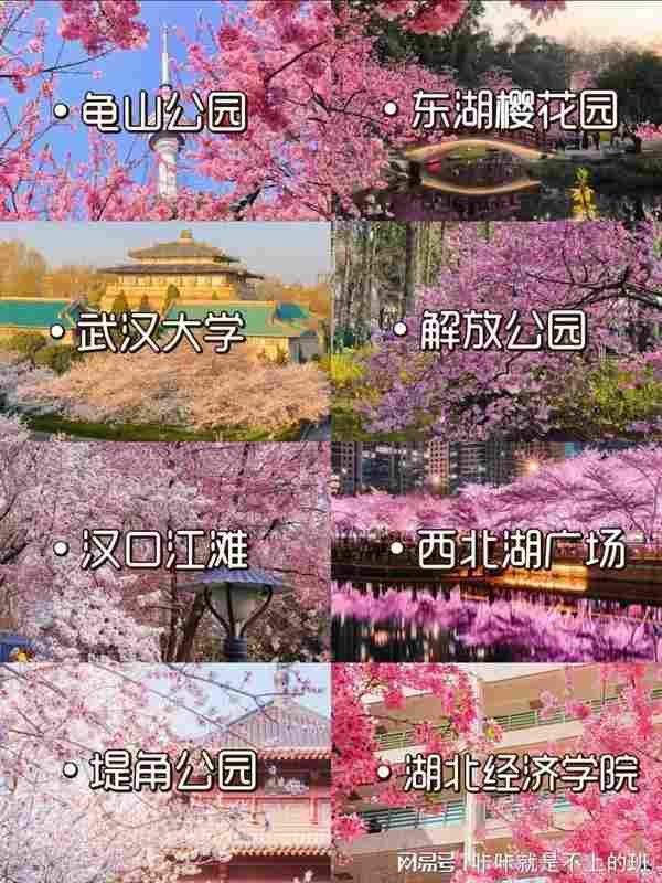  武汉樱花季｜8大核心赏樱点地理区位与影像取景实战解析 文化旅游 武汉樱花季｜8大核心赏樱点地理区位与影像取景实战解析 文化旅游