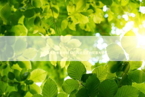 数据丢失的焦虑时刻 轻松找回文件的可靠方式