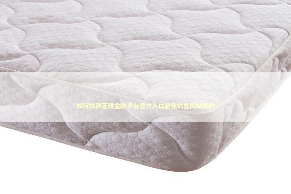 如何找到正规金融平台官方入口避免钓鱼网站陷阱