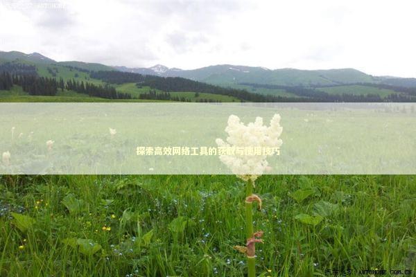 探索高效网络工具的获取与使用技巧 IT技术