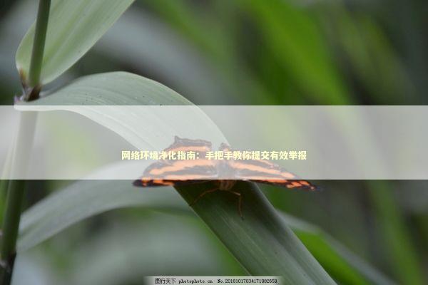 网络环境净化指南：手把手教你提交有效举报