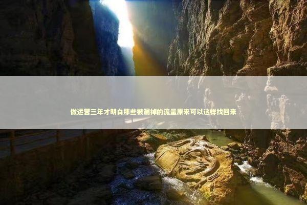 做运营三年才明白那些被漏掉的流量原来可以这样找回来