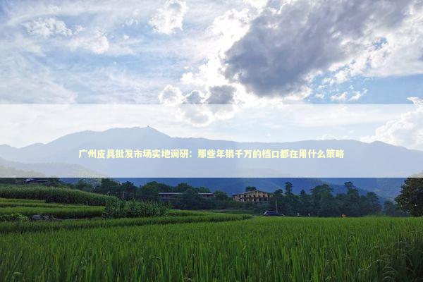 广州皮具批发市场实地调研:那些年销千万的档口都在用什么策略 广州皮具批发市场实地调研:那些年销千万的档口都在用什么策略 企业服务